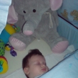 Spink����m